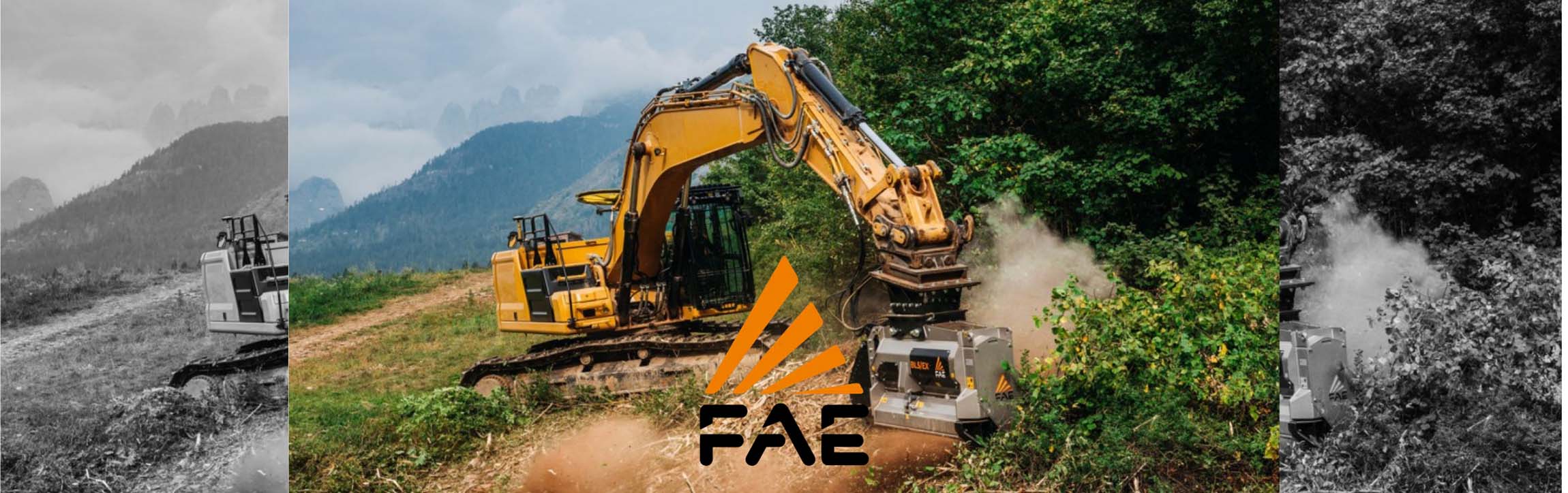 fae header image